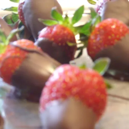 Hotel Bacco And Breakfast