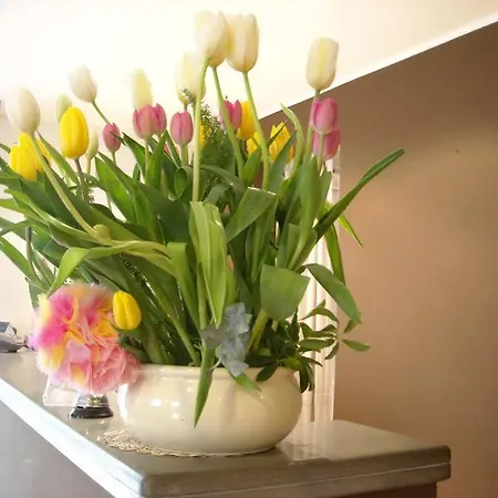 Bacco And Breakfast 2*