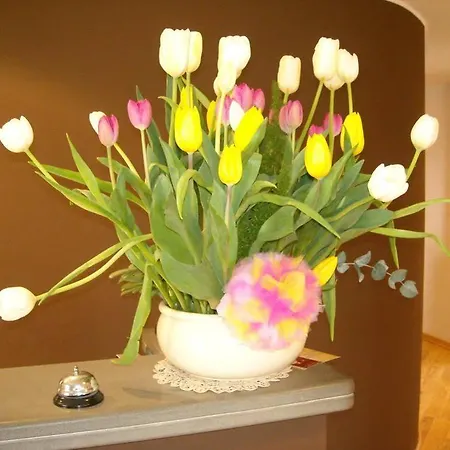 Hotel Bacco And Breakfast