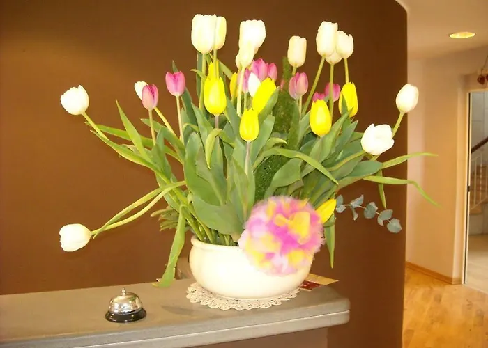 Ξενοδοχείο Bacco And Breakfast